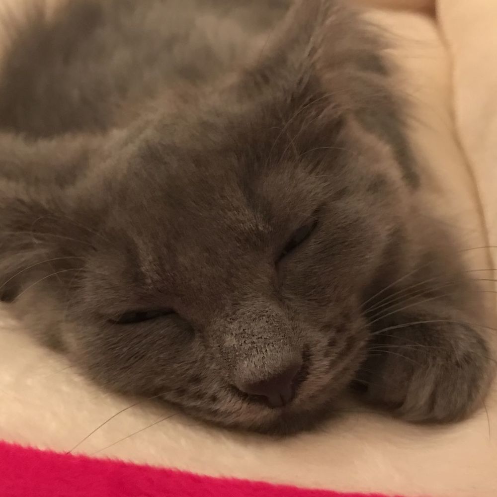 Meet your Posher, Jayna